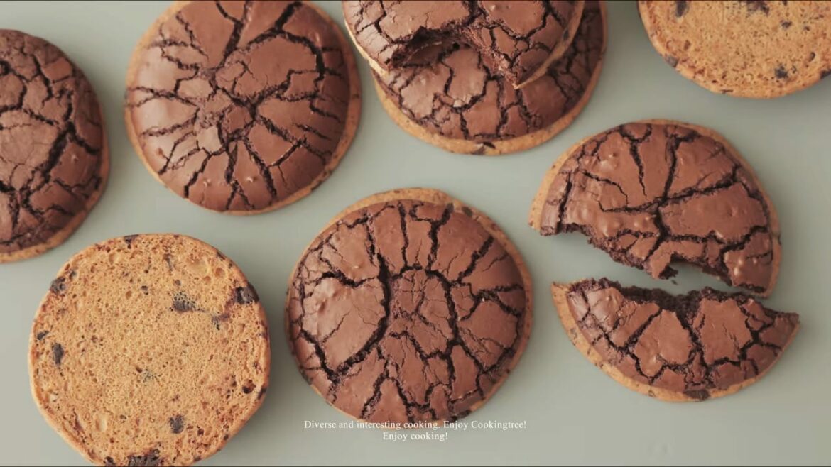 Biscuits aux pépites de chocolat + biscuits au brownie