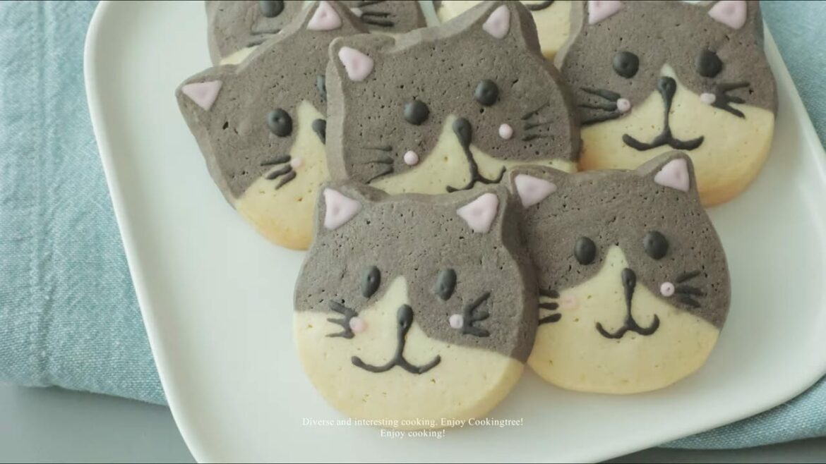 Biscuits Glacière Chat
