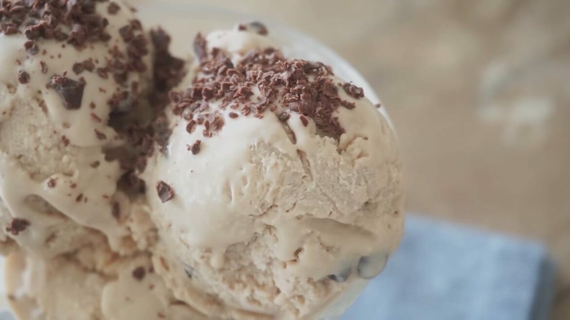 Glace à la menthe et pépites de chocolat (chocolat des Andes)